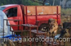 Illegal cattle trafficking : 7cows rescued in Kundapur